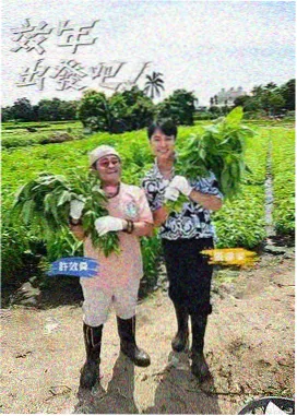 非自然死亡日剧海报